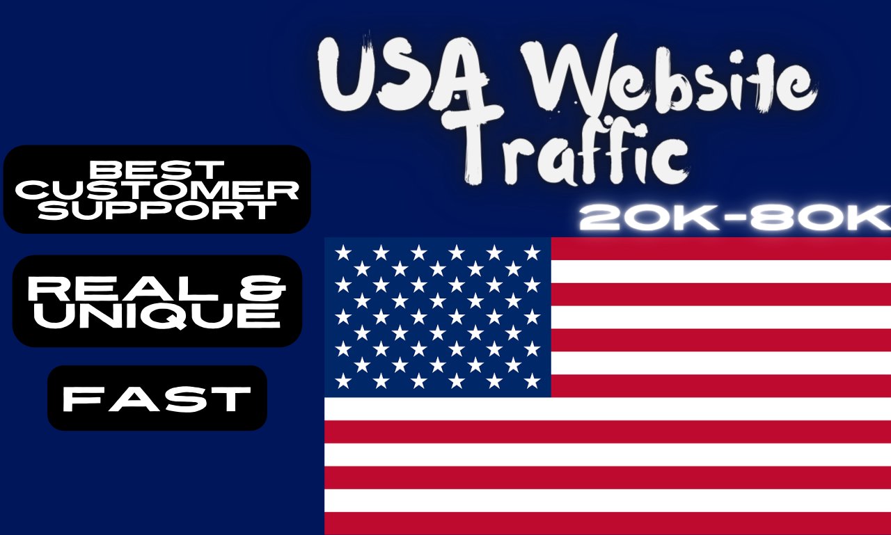 Organic USA Website Traffic 20k