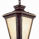 Trans Globe Brown and Gold Outdoor Hanging Lantern 5845BGO