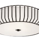 Trans Globe Caged Glass Contemporary Ceiling Light 10032
