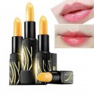 Authentic Legend Age Healthy Cherry Lipstick Natural Lip Balm/Mask 传奇今生红樱桃口红(正
