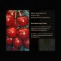 Authentic Legend Age Healthy Cherry Lipstick Natural Lip Balm/Mask ä¼ å¥ä»ç红樱æ¡å£çº¢(æ£
