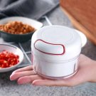 Hand Pull Mini Food Crusher Manual Mincer Garlic Press