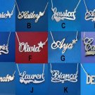 PERSONALIZED SINGLE SILVER ANY NAME ANY STYLE PLATE NECKLACE w/ CHAIN