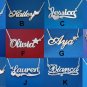PERSONALIZED SINGLE SILVER ANY NAME ANY STYLE PLATE NECKLACE w/ CHAIN
