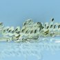 PERSONALIZED 14K GOLD PLATED 1" STUD NAME EARRINGS ANY NAME UP TO 7 LETTERS
