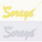 Personalized 18K Gold Plated / Sterling Silver Name Plate Necklace Brush MT Font