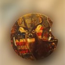 Set of 2 Buck Deer Car Coasters