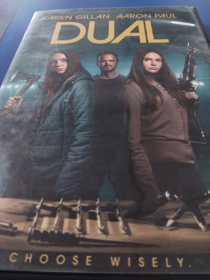 dual dvd