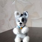 dog from Ukraine (husky puppy)
