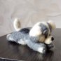 dog from Ukraine