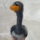 ostrich dry felting height