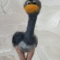 ostrich dry felting height