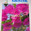 PEGASUS AIRLINES CYPRUS FLIGHTS - 2007 SPECIAL INFLIGHT MAGAZINE - SESTA
