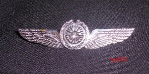 SUNEXPRESS AIRLINES - PILOT WINGS - TURKISH & GERMAN AIRLINE - SILVER PLATED