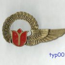 ISTANBUL AIRLINES - STEWARDESS WINGS - 2 - LATER LOGO - TURKISH - RARE