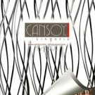 CANSOY - 2012 LINGERIE  BRA PANTIES TURKISH PRINT AD
