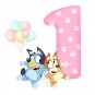 Bluey Bingo Baby Girl Birthday 1st PNG images