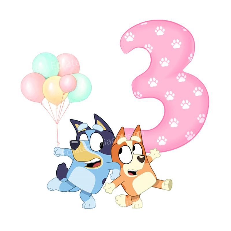 Bluey Bingo Girl Birthday 3rd PNG images