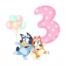 Bluey Bingo Girl Birthday 3rd PNG images