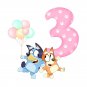 Bluey Bingo Girl Birthday 3rd PNG images