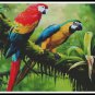 Bird Cross Stitch Pattern / Parrot Cross Stitch Chart / Printable PDF Chart