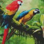 Bird Cross Stitch Pattern / Parrot Cross Stitch Chart / Printable PDF Chart
