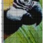 Bird Cross Stitch Pattern / Parrot Cross Stitch Chart / Printable PDF Chart