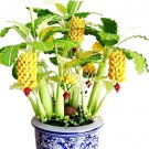 30 Dwarf Banana Seeds