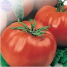 100 Heirloom Giant Monster Tomato Genuine Fresh Seeds