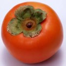 20 Rare Persimmon Seed Organic Non-GMO Juicy Succulent Fruit Trees Seeds