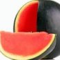 40 Super Black Skin Red Seedless Watermelon Organic Seeds