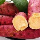 100 Leguminosae sweet potato Seeds
