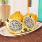 30 Rare Large Yellow Dragon Fruit Pitaya Organic Seeds