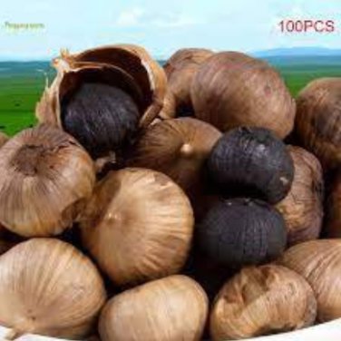 100 Black Garlic Organic Heirloom Vegetables Home Gardening Planting Seeds