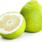10 Heirloom Sweet Yellow Grapefruit Citrus maxima Fruit Seeds