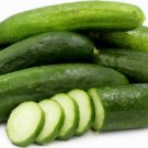 20 Fruits Cucumber Vegetables Seeds