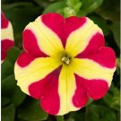 200 Petunia 'Amore Queen of Hearts' Seeds