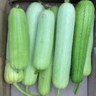 8 White Jade Luffa Organic Vegetables Seeds