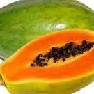 6 Guangxin Dark Green Skin Red Inside Papaya Fruits Seeds