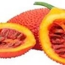 10 Gac Fruit Seeds Momordica Cochinchinensis Seeds