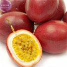 40 Purple Passion Fruits passiflora edulis sour sweet egg fruit nutritious Granadilla Seeds