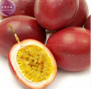 40 Purple Passion Fruits passiflora edulis sour sweet egg fruit nutritious Granadilla Seeds