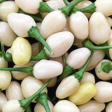 20 White Habanero Pepper Seeds