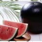 10 RARE Hokkaido Black Watermelon Seeds