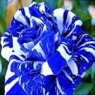30 Rare Dragon Striped Rose Flower Seeds Bonsai Garden Decor Plants Seeds