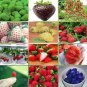 12 Different Strawberry Seeds