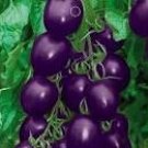 100 Rare Heirloom Indigo Blue Tomato Hybrid Seeds