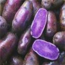 100 Potato Seeds Purple Color Seeds