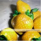 200 Sweet Yellow Alpine Strawberry Non-gmo Organic Fruit Seeds
