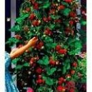 200 Imported Japanese Red Climbing Strawberry Seeds